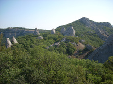 ���� ������