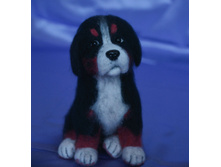 ������� ����.jpg