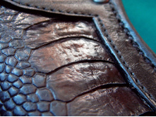 �������  (11).jpg