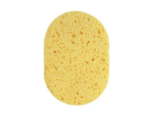 4216.jpg