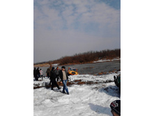 IMG_20150321_105611.jpg