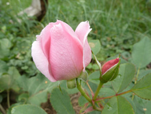 P1160041.JPG