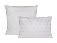 ������ - �������.jpg