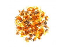 ��������� �������������.jpg