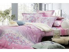 ������ ���������� 1894 ���