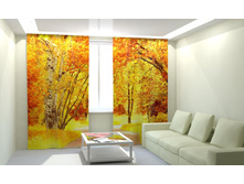 ��������� ������ �����.jpg