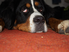 DSC01283.JPG