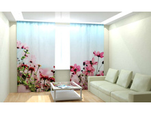 ��������� ��������� ����.jpg