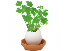 ����� ��� ����������� Egg*ling ����������� ��������_165�_(660�)