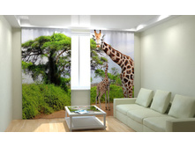 ��������� ��� ������.jpg