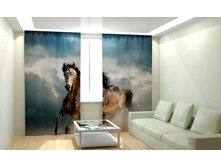 ������ ����.jpg