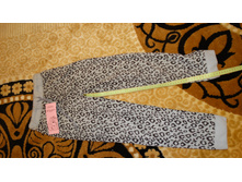 ������ �����