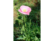P1140367.JPG