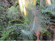 ���� 114.jpg