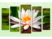 F028 30�80, 25�70-2, 20�60-2. 120�80.jpg