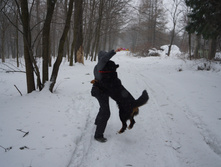 DSC02635.JPG