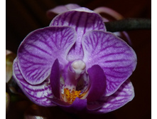 ���������� 2.JPG