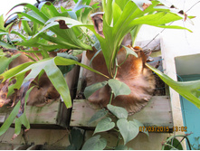 ���� 174.jpg