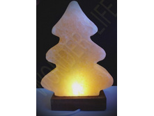 ������� ����� wonder life ����, � usb-���������, ���� 1660���.jpg