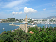 DSCN0301 - �����.JPG