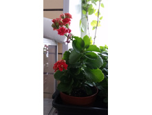 20150322_164938.jpg