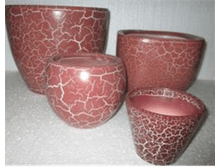 ������ ������������ No97