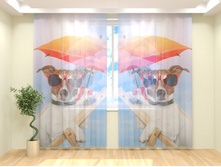 ������ � �������.jpg