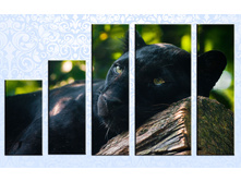 F084 110�70, 20�40, 20�50, 20�70-2, 30�70.jpg