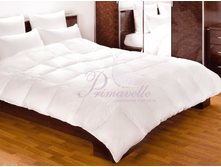 ������ Felicia