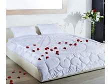 ������ Wedding