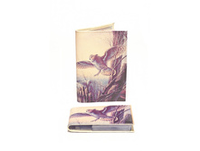 �������� �����.