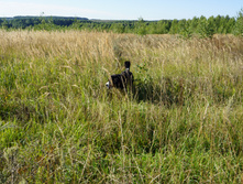 DSC01246.JPG