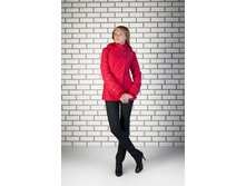 ������� ����.jpg