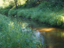 DSC01288.JPG
