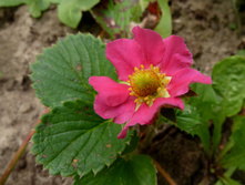 P1150019.JPG