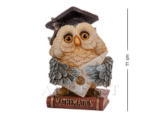 OL-9577-XB 490 �.jpg