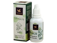 ����� ���������� � ������� � ����� (�� ��������) VEDA VEDICA