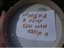 P1150121.JPG
