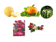 �����-50�.png