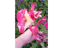 20140821_183511_cr.jpg