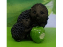 ������� ����� � ��̣��� �������.png