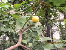 ��������!