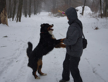 DSC02618.JPG