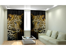 ������� �� ������.jpg