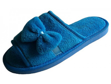 A2905 blue-600x400.jpg