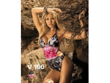 1000p.�������� ��������� V-100-2013.jpg