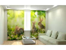 ������� �� �������.jpg