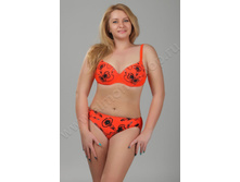 24-27 13195 ��������� ���������.jpg