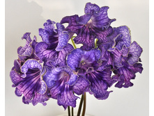 ��-������ �̣�