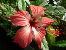 P1030211 - �����.JPG